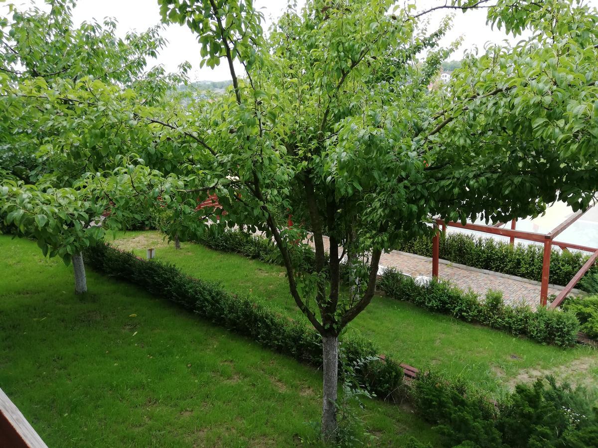 Grace Villa Кодру Экстерьер фото